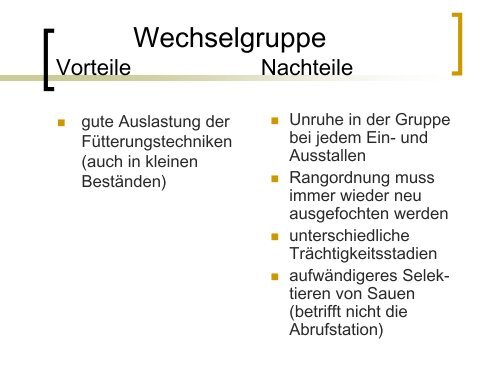 Gruppenhaltung tragender Sauen