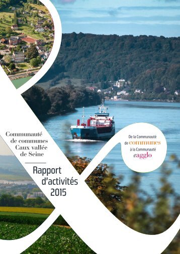 Rapport d’activités 2015