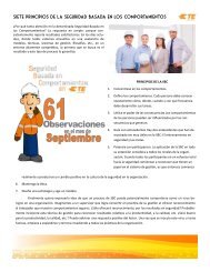 Revista Seguridad2