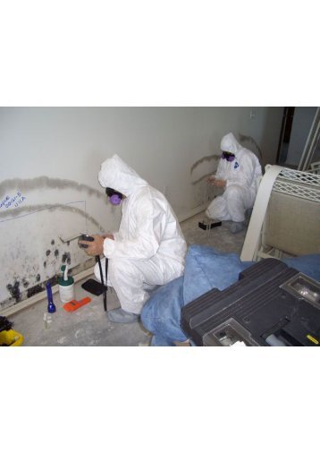 Mold Testing Fort Lauderdale