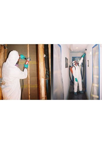 Mold Inspection Companies Miami