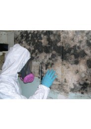 Miami Mold Inspection Companies