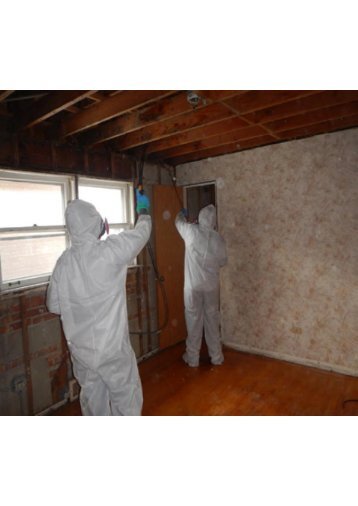 Mold Remediation Miami Beach