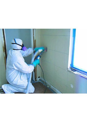 Mold Remediation Fort Lauderdale