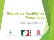 Guía_Seguro de Accidentes FMRU 2016