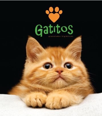 Apresentação Gatitos