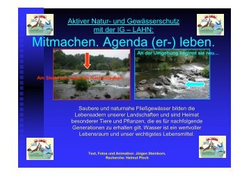 Wehr als Aufstiegssperre Naturnahe Wehrumgehung