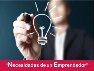 “Necesidades Emprendedor”