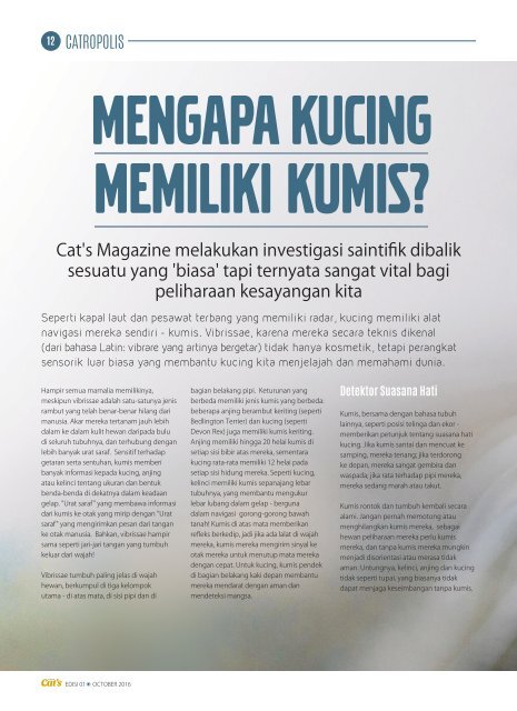 Cat's Magazine Edisi1 Oktober 2016