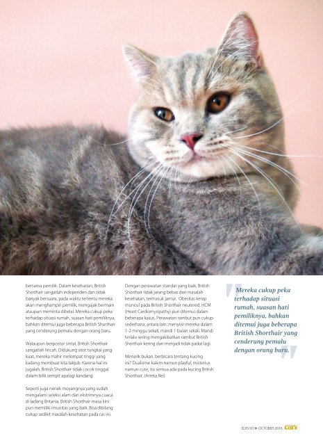 Cat's Magazine Edisi1 Oktober 2016