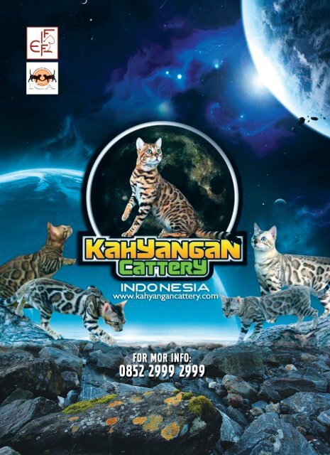 Cat's Magazine Edisi1 Oktober 2016