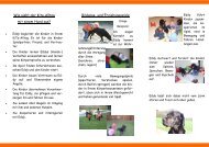 Flyer zur Tiergestützten Pädagogik - KiB