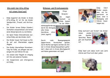 Flyer zur Tiergestützten Pädagogik - KiB