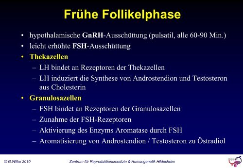 Grundlagen der gynäkologischen Endokrinologie