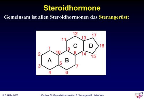 Grundlagen der gynäkologischen Endokrinologie