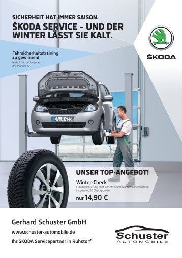 Skoda Winterservice