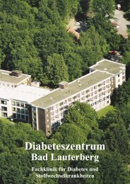 diabeteszentrum bad lauterberg lemmers diabeteszentrum bad lauterberg lemmers