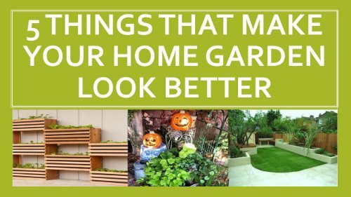 5 Things That Make Your Home Garden Look Better.