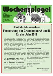 Ausgabe 2/2012 - in der Gemeinde Hohenhameln