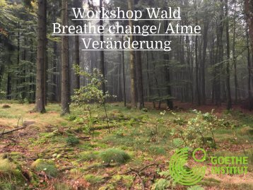 Präsentation Wald_neu