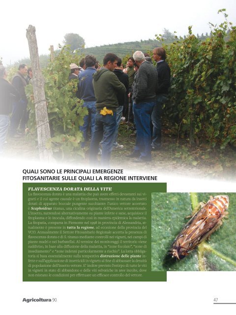 Rivista "Agricoltura" Regione Piemonte - n. 90 Ottobre 2016