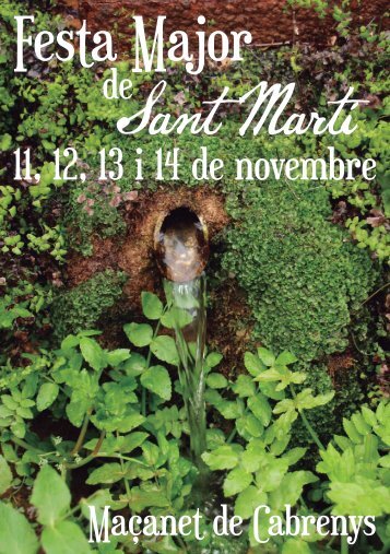 Festa Major de Sant Martí