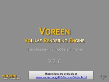 Processor - Voreen