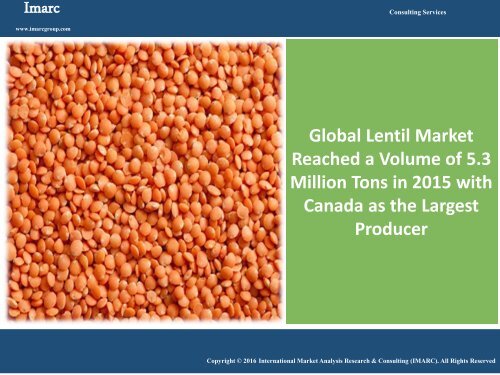 Global Lentil Market Report 2016 - 2021