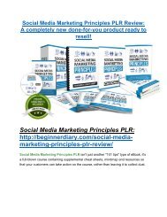 Social Media Marketing Principles PLR Review-$32,400 bonus & discount
