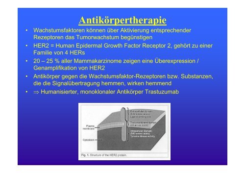 Heilungschance oder Chemiekeule? - Chemotherapie und ...