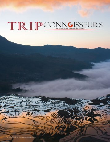 Trip Connoisseurs Brochure