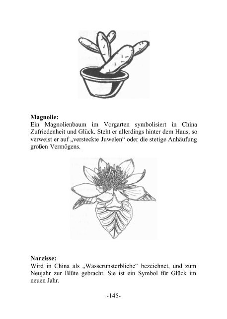 Feng Shui, Symbole des Ostens