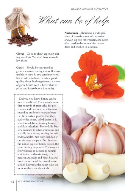 My Herbs Magazine 2 - sample