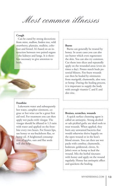 My Herbs Magazine 2 - sample
