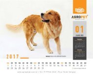 Calendario 2017