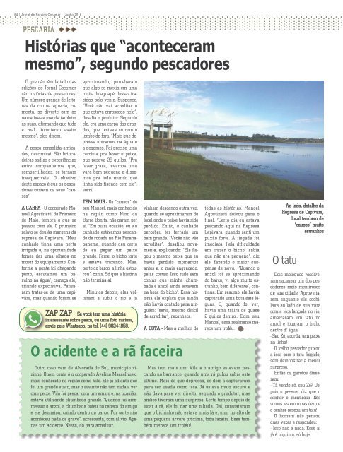 Jornal Cocamar Agosto 2016