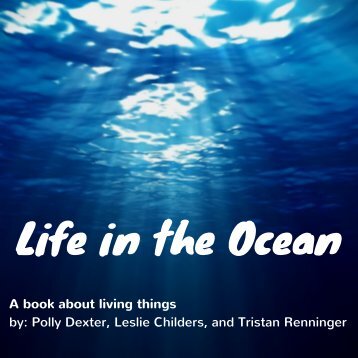 Life in the Ocean