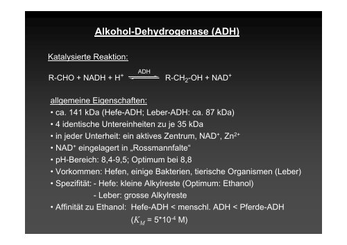 Alkohol-Dehydrogenase (ADH)