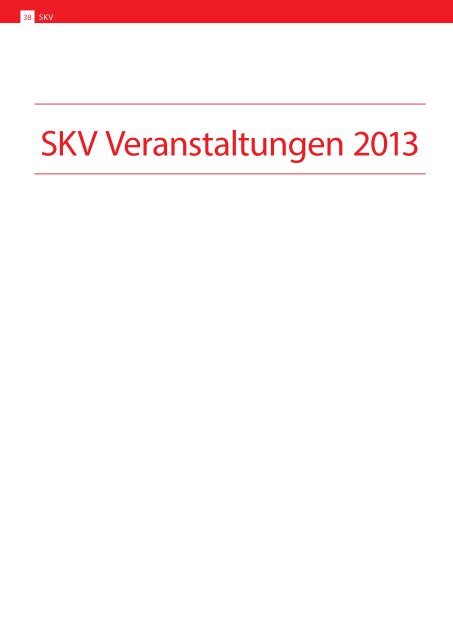 Imagebroschuere SKV 2013