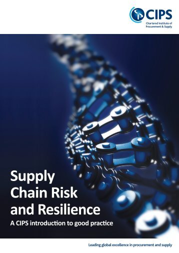 CIPS Risk&Resilience_16pp_A4_Broch_1016_WEB