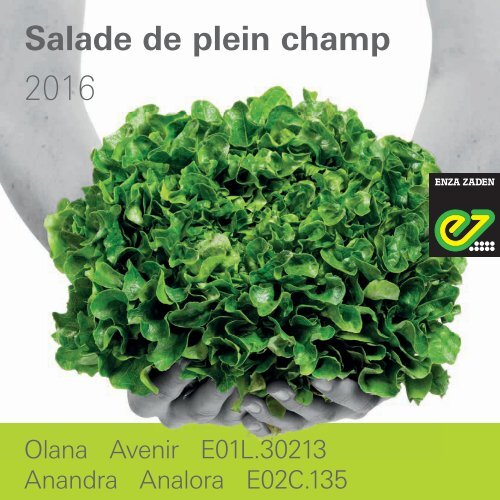 fr_salade de plein champ 2016