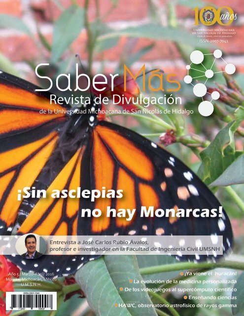 Luis Monje. Fotografía CientíficaALAS DE MARIPOSA - Luis Monje