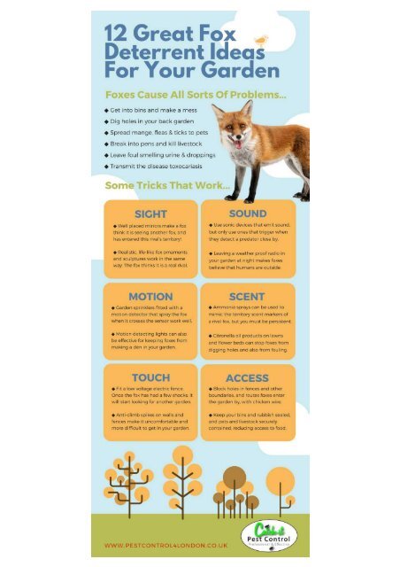 DISCOURAGING FOXES FROM YOUR GARDEN – SOME GREAT TIPS AND TRICKS THAT ALWAYS WORK