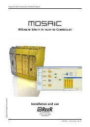 REER-Mosaic Manual