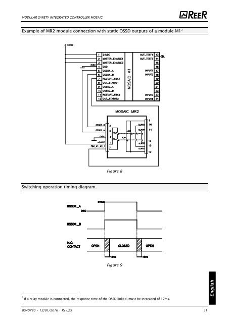 REER-Mosaic Manual