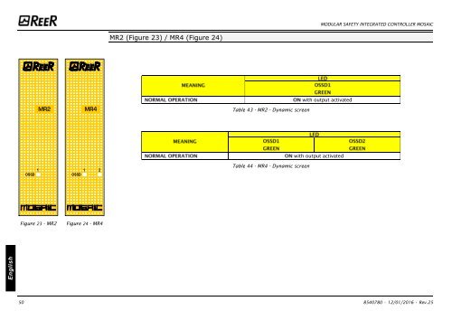 REER-Mosaic Manual