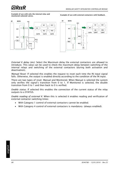 REER-Mosaic Manual