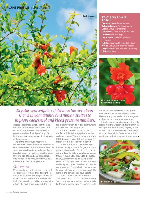 5. Good Organic Gardening - September-October 2016 AvxHome.in