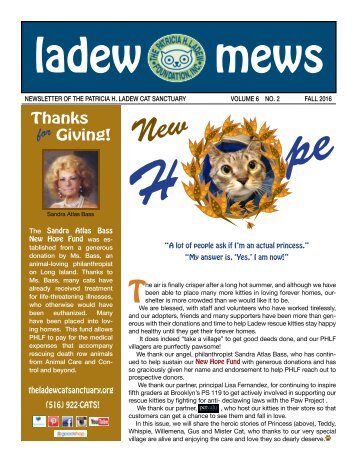 Ladew Mews Fall 2016