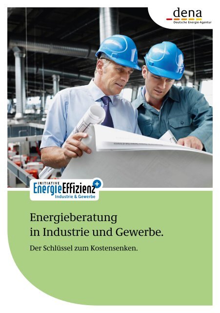 Energieberatung in Industrie und Gewerbe. - Initiative EnergieEffizienz
